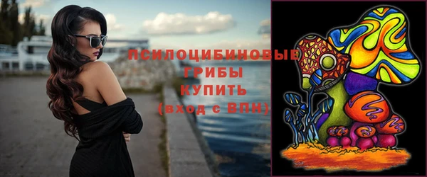 ECSTASY Медвежьегорск