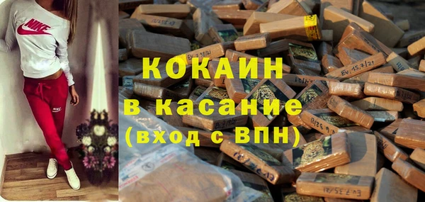 ешки Арсеньев
