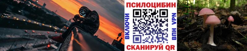 Псилоцибиновые грибы GOLDEN TEACHER  сайты даркнета наркотические препараты  Старая Русса 